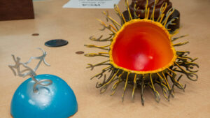 Close-up of a blue object and a spiky yellow seed pod with a red interior on a table.