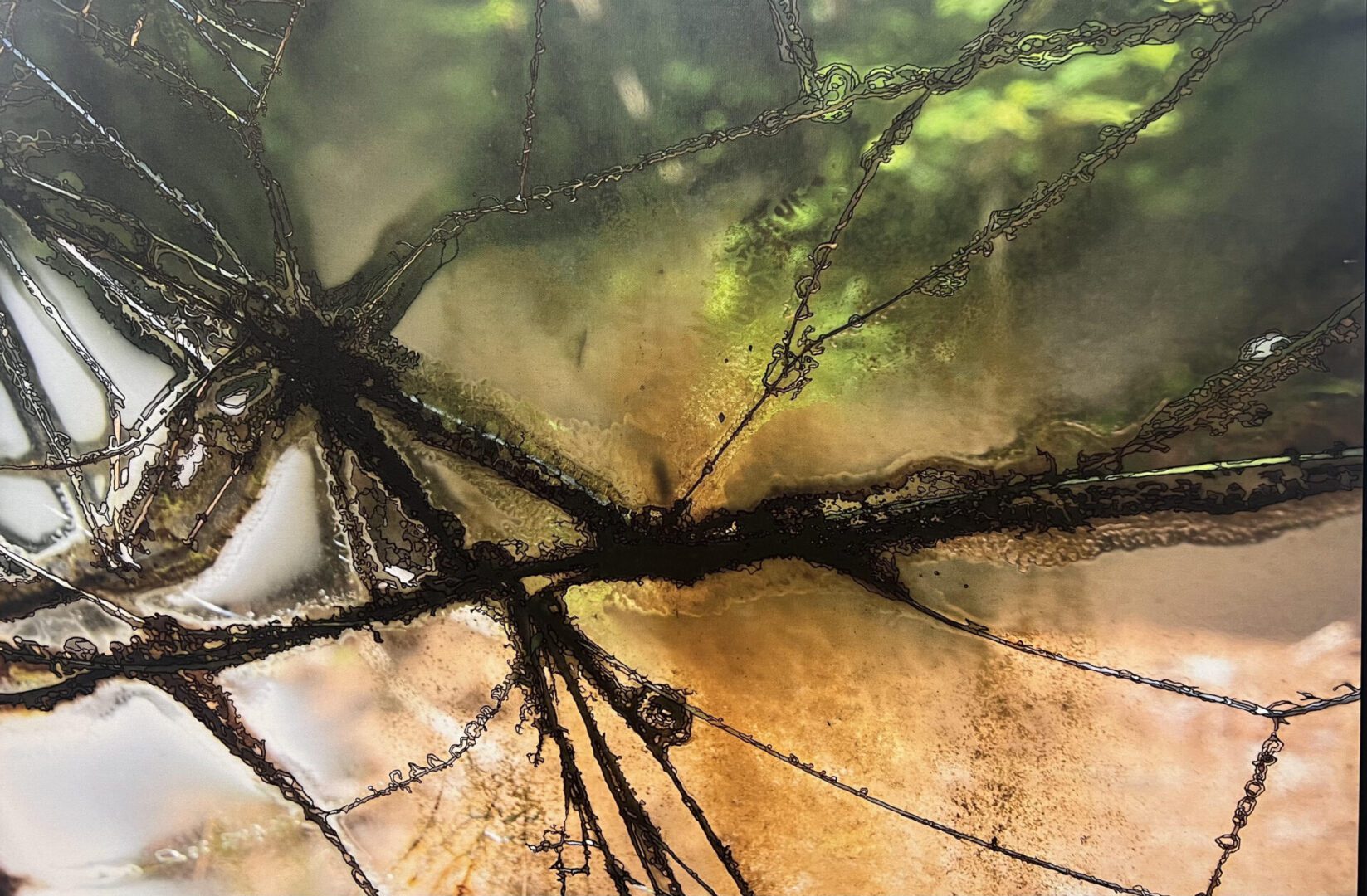 Close-up of tree branches with green leaves and a blurred background.
