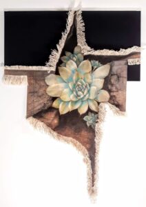 A succulent plant with pale green leaves on rustic wooden planks.