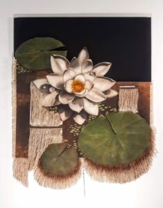 A white water lily with green lily pads floating on water.