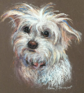 Portrait of a small, fluffy white dog with expressive eyes.