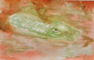A green alligator partially submerged in water with a reddish background.