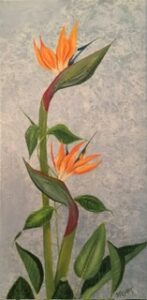 A vibrant orange bird of paradise flower with green leaves against a textured background.