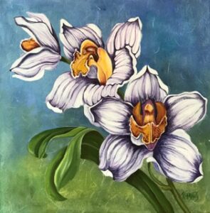 Close-up of two white and purple orchids with green leaves on a blue background.