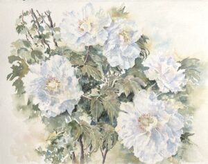 Delicate white flowers in soft watercolor style.