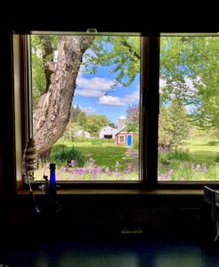 View through a rustic window showing a tree and garden shed on a sunny day.