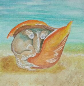 Contemplative Conch Watercolor