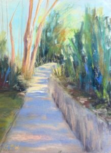 Pathway through a sunlit, wooded area.